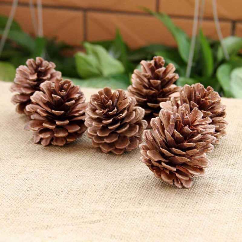 QHZHANG Christmas Bulk Package of Natural Pinecones for Home Party Decorations-25 Pack (1) - Image 2